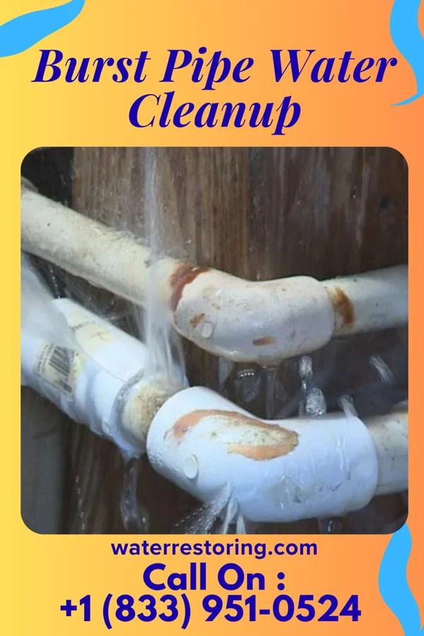 Burst Pipe Water Cleanup in Montague, MI