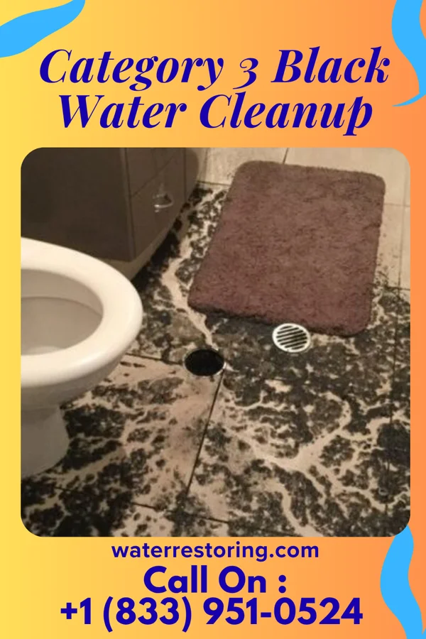 Category 3 Black Water Cleanup in Montague, MI