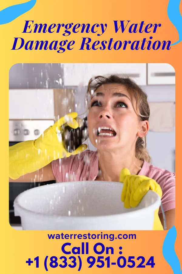 Emergency Water Damage Restoration in Montague, MI