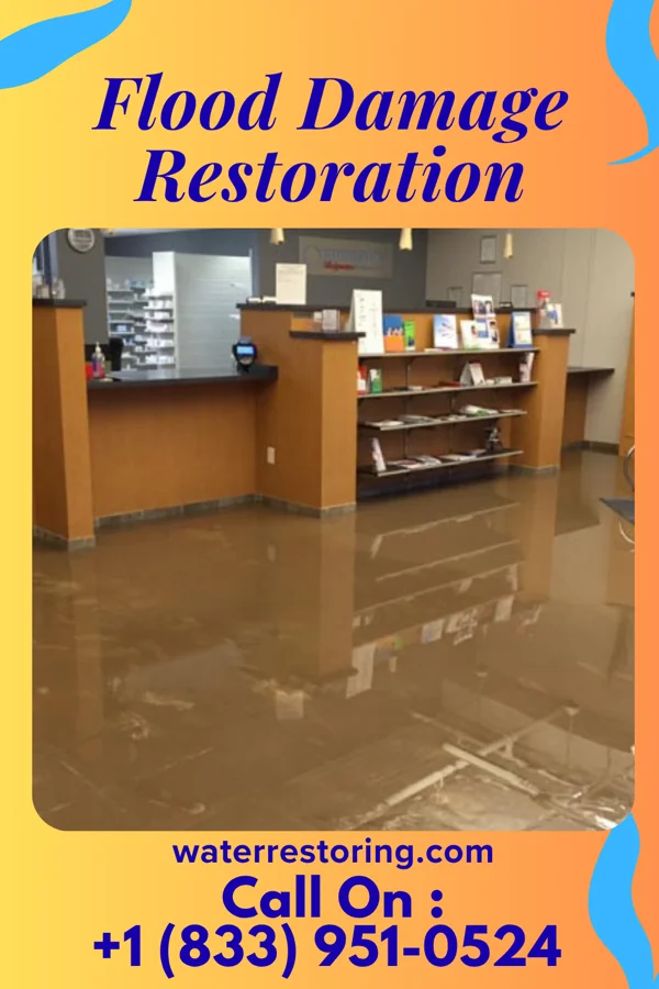 Flood Damage Restoration in Montague, MI