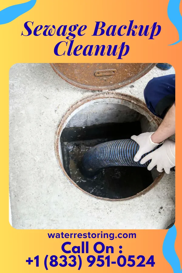 Sewage Backup Cleanup in Montague, MI